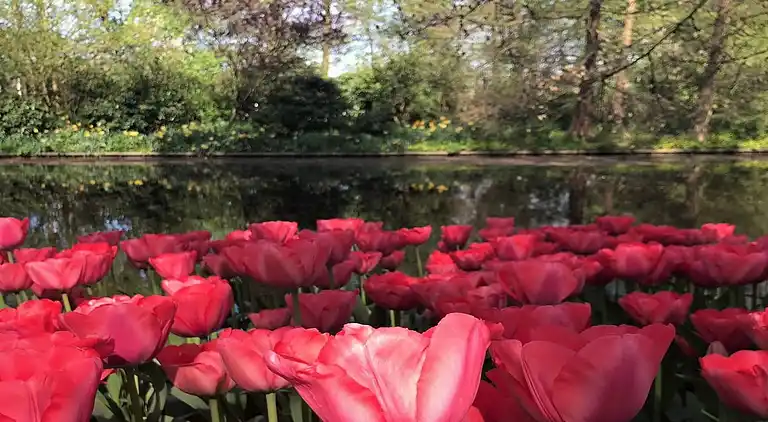 Apartment in Scheveningen