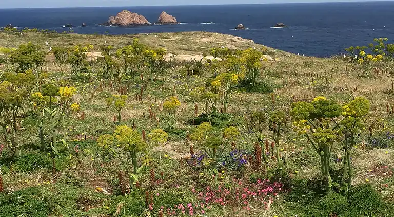 Villa i Foz do Arelho