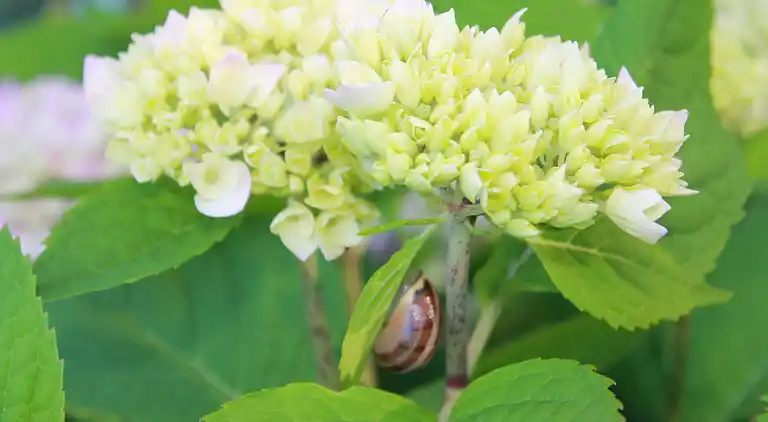 Holiday home in Kröpelin