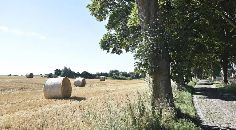 Holiday home in Kröpelin