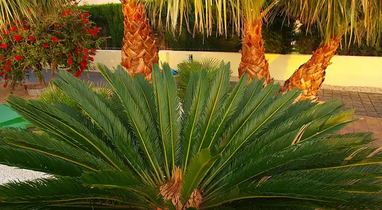 Sommerhus i les Tres Cales