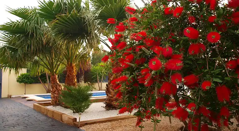 Sommerhus i les Tres Cales