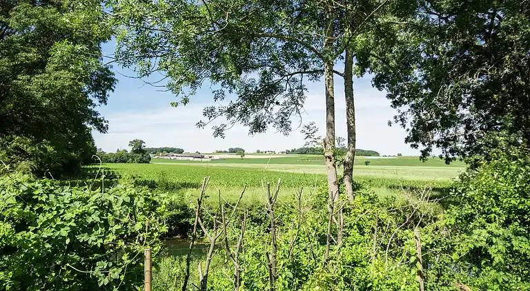 Sommerhus i Léoville