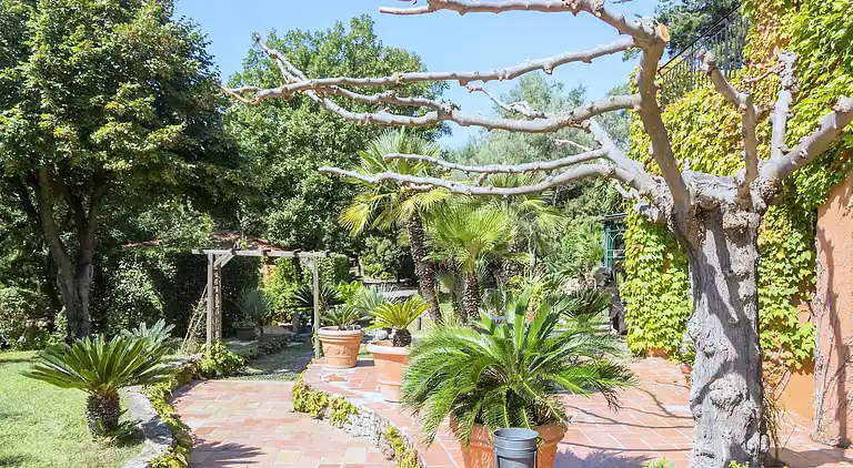 Manor house in Fréjus