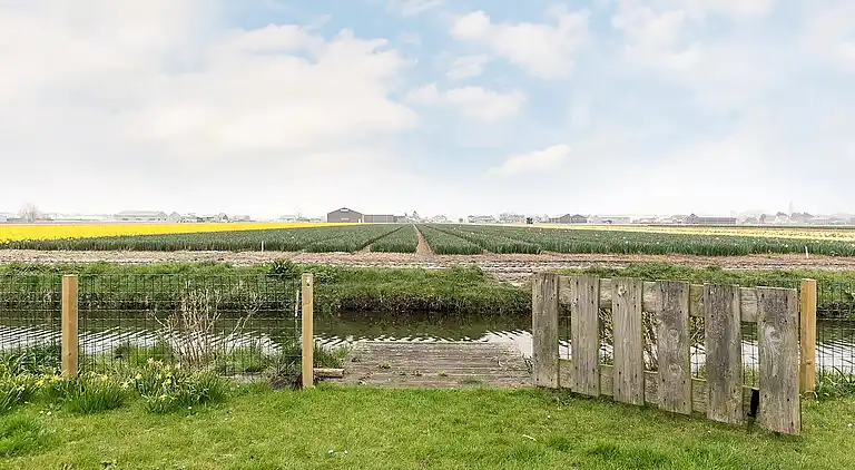 Sommerhus i Zuid-Holland