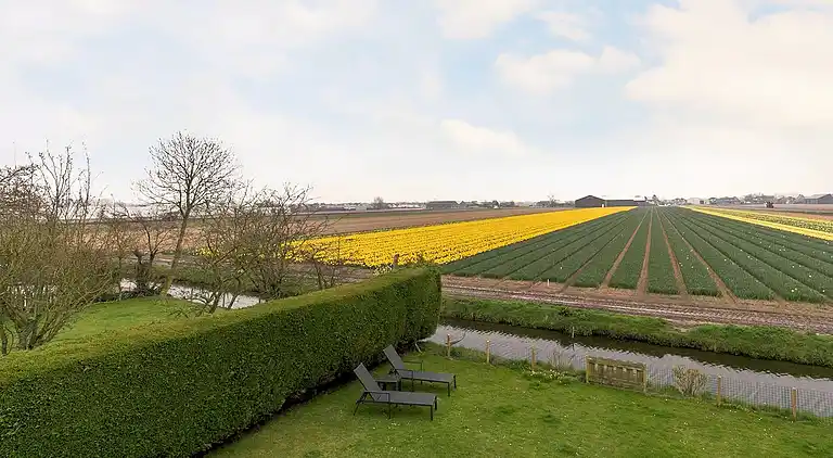 Sommerhus i Zuid-Holland