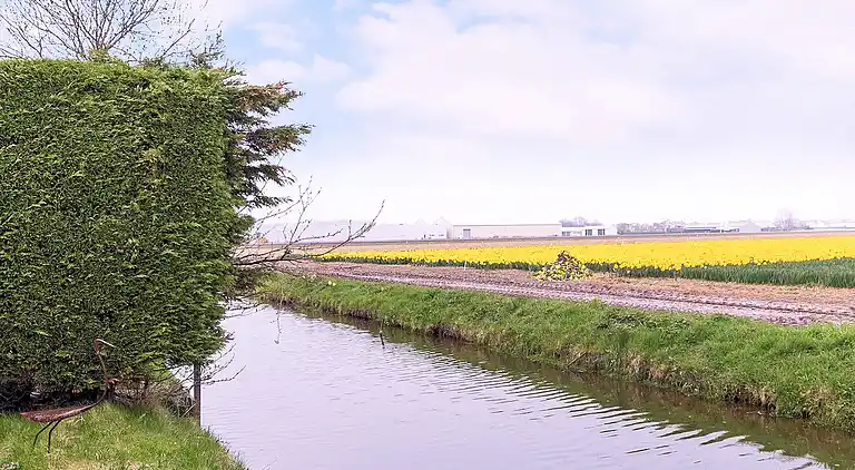 Sommerhus i Zuid-Holland