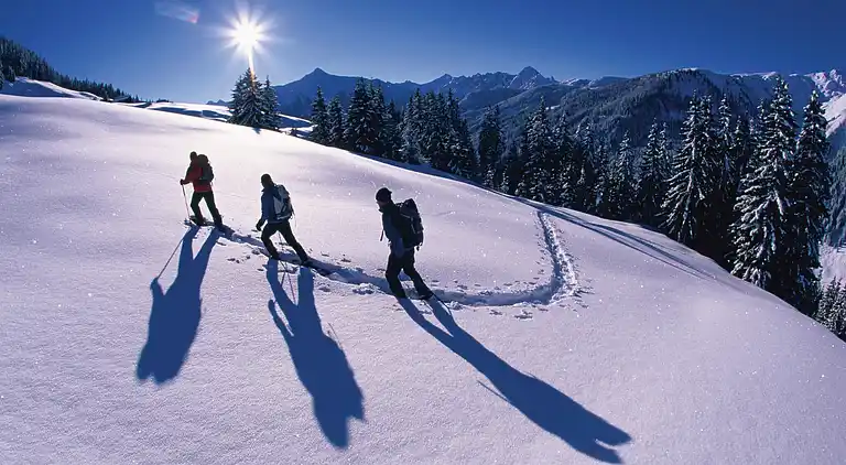 Apartment in Kaltenbach