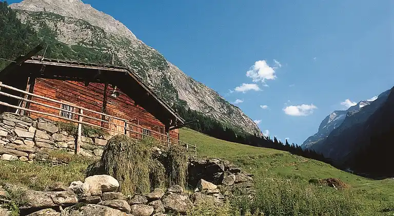 Apartment in Kaltenbach