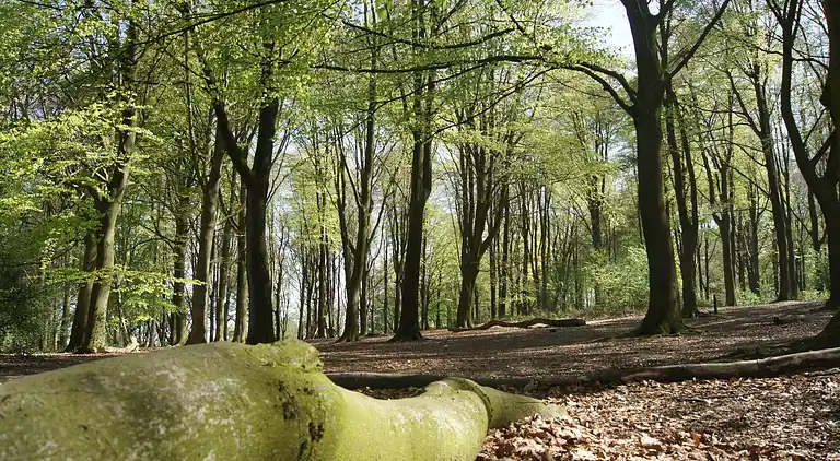 Herregård i Kluisbergen