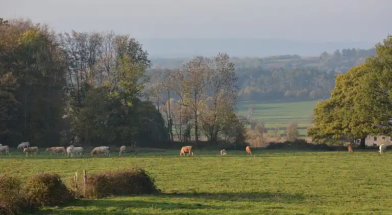 Sommerhus i Érezée