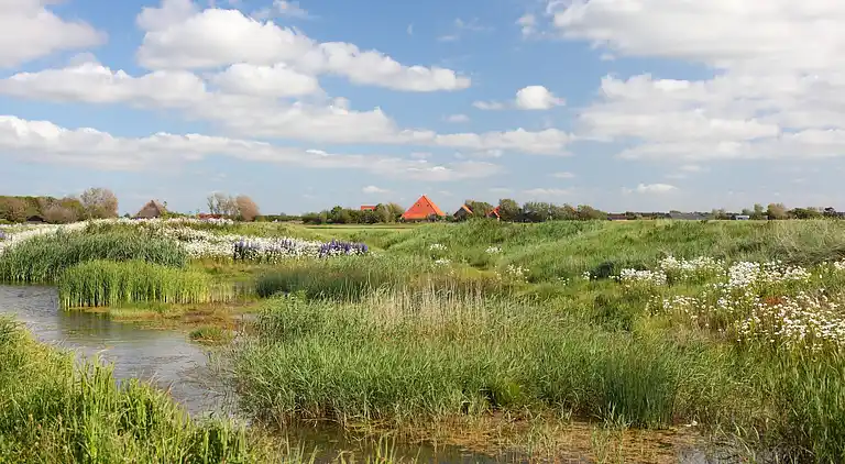 Bungalow i Callantsoog