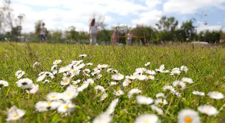 Bungalow i Callantsoog