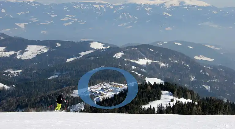 Cottage in Wolfsberg