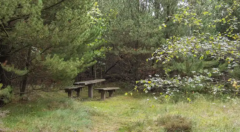 Fritidshus med stråtak för ro och närhet