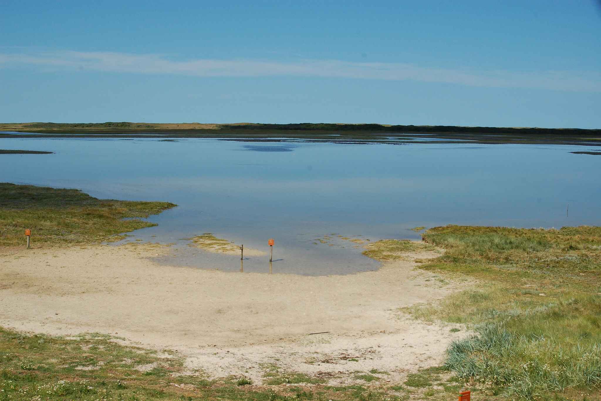 Large Image