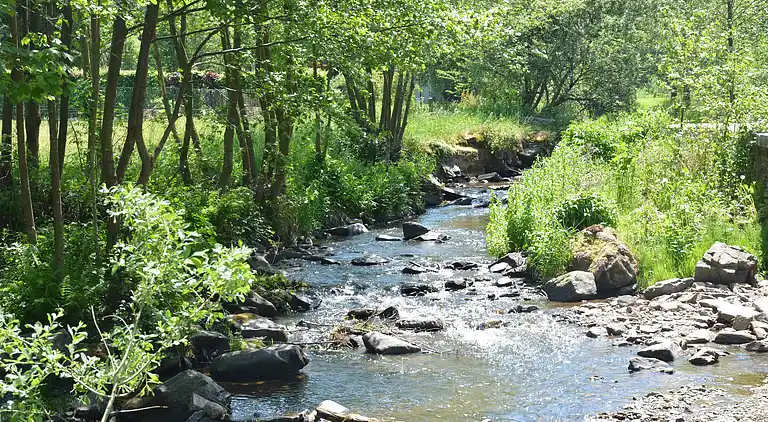 Holiday home in Redu