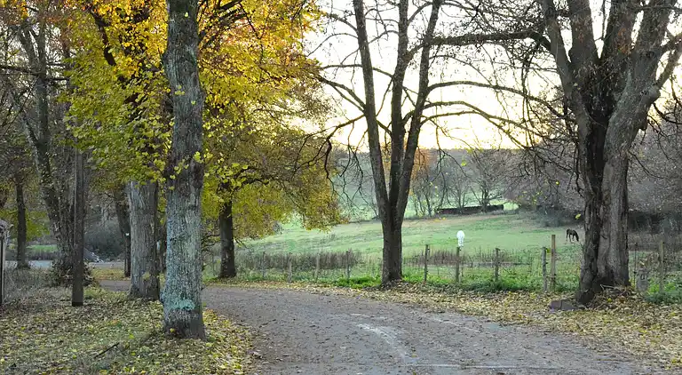 Holiday home in Redu