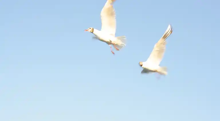 Ferielejlighed i Kröpelin