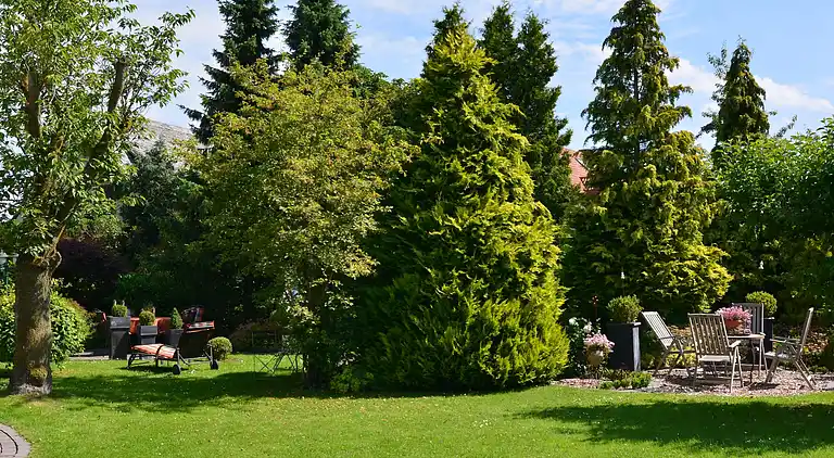 Apartment in Madfeld