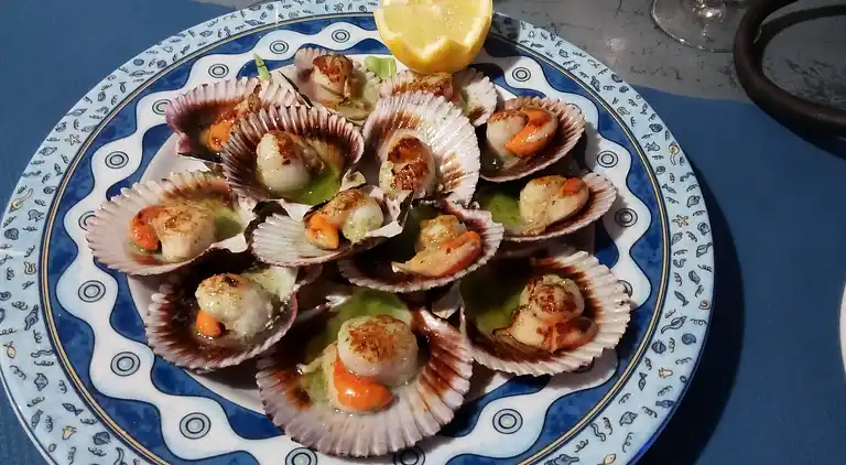 Manor house in Collía