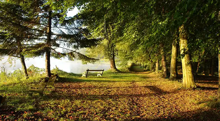 Manor house in Saint-Bonnet-Tronçais