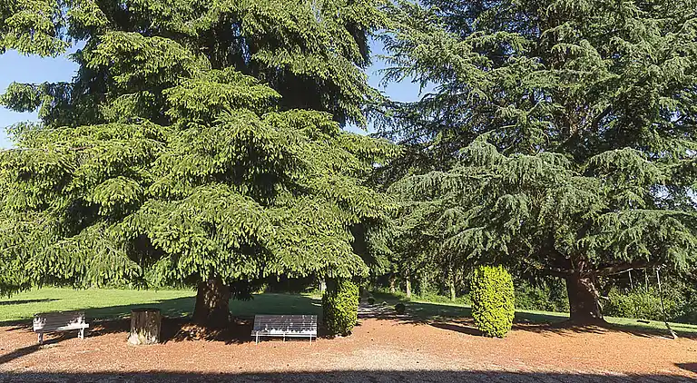 Manor house in Saint-Bonnet-Tronçais