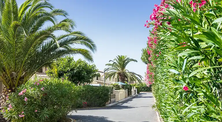 Sommerhus i Portiragnes