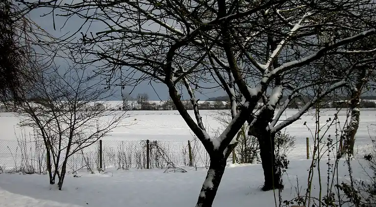 Cottage in Montier-en-Der