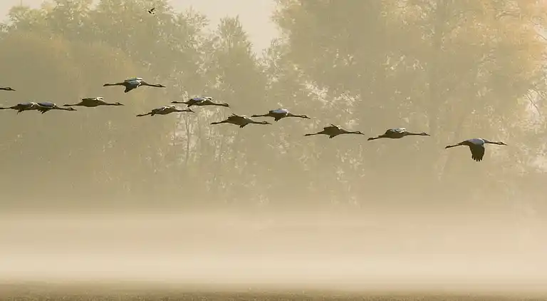 Holiday home in Droyes