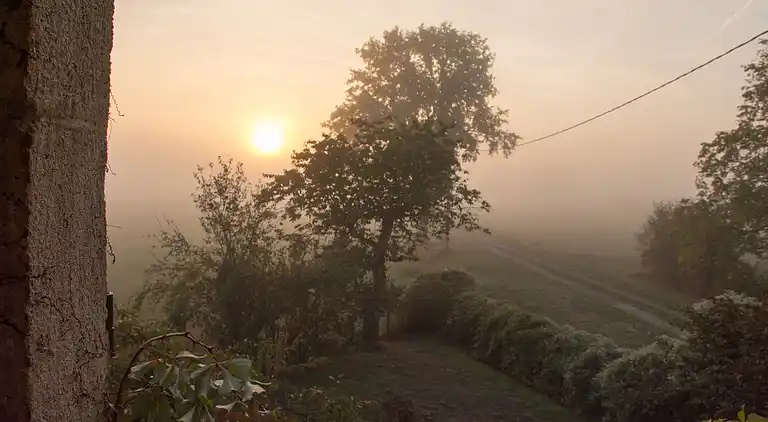 Cottage in Montier-en-Der