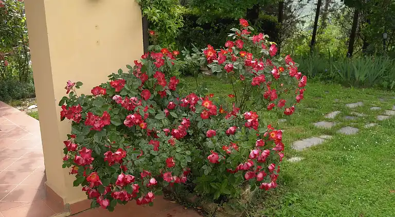 Holiday home in Il Ferrone