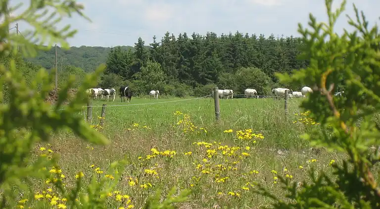 Farm house in Aublain