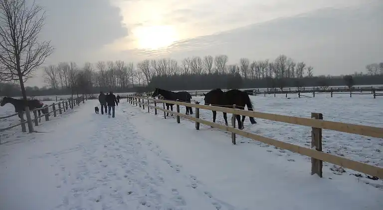 Ferielejlighed i Kröpelin
