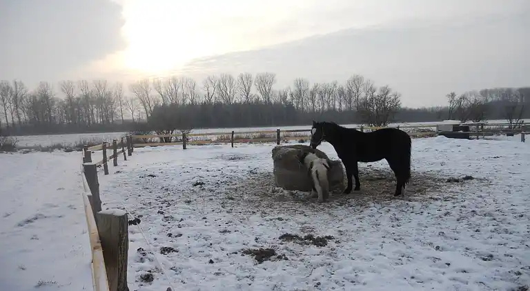 Ferielejlighed i Kröpelin