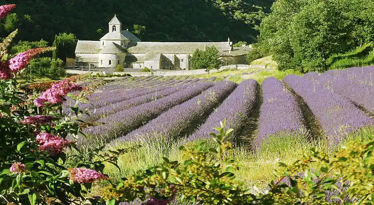 Villa in Saint-Saturnin-lès-Apt
