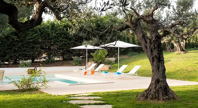 Villa i San Ciro-Ulmi-Filci