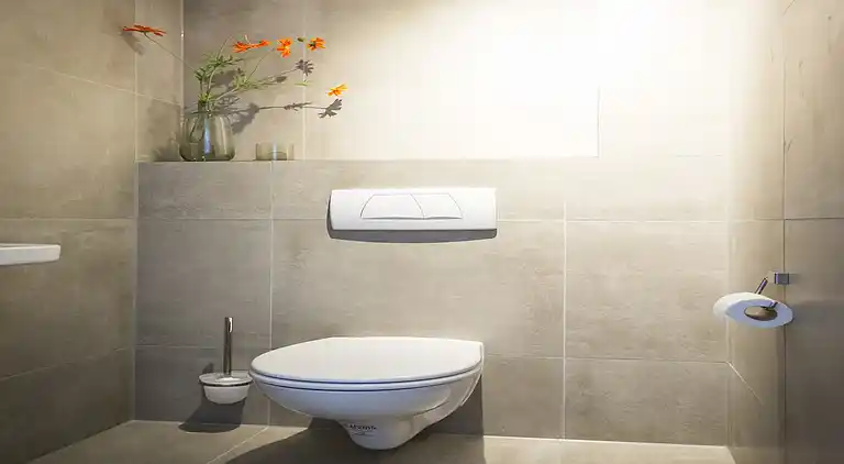 Farm house in De Cocksdorp