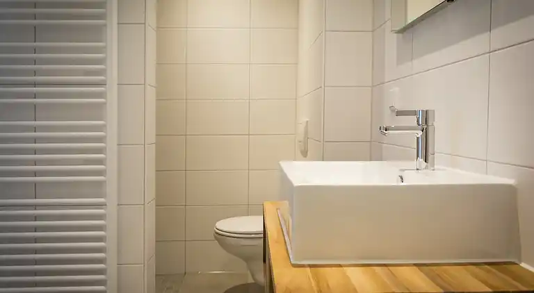 Farm house in De Cocksdorp