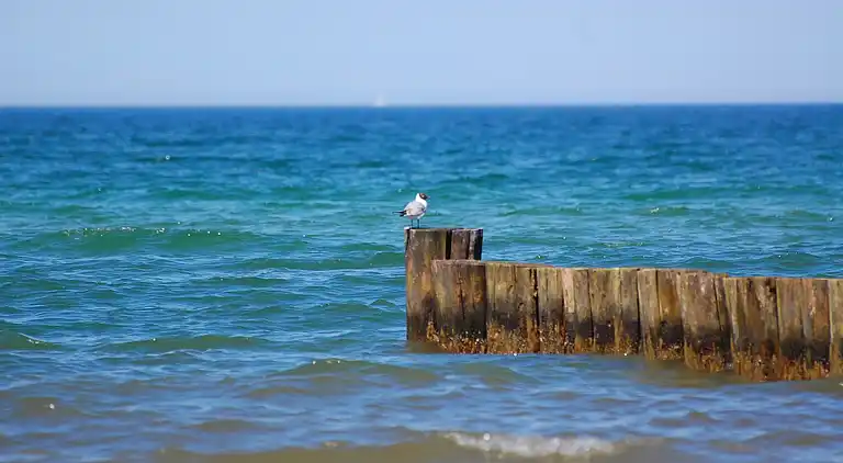 Ferielejlighed i Mechelsdorf