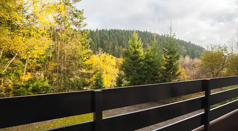 Apartment in Winterberg