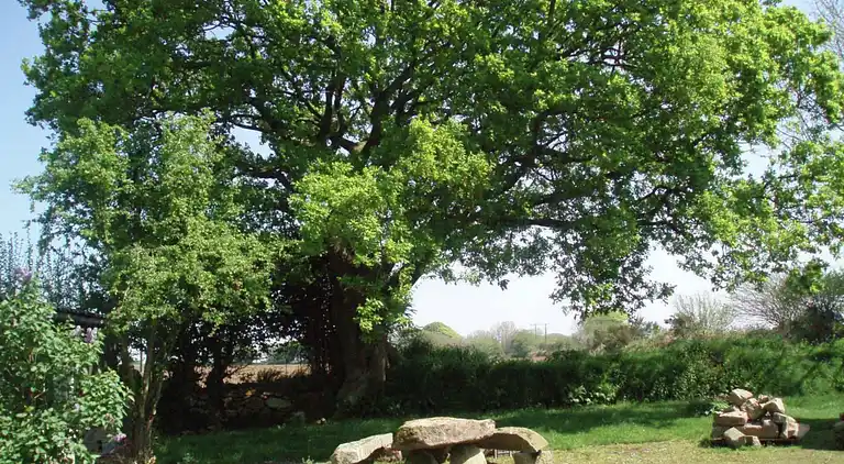 Holiday home in Bodilis