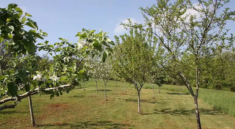 Sommerhus i Blanquefort-sur-Briolance