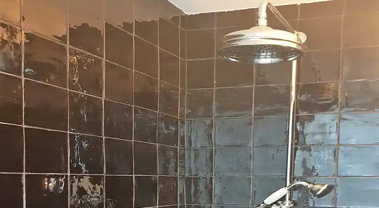 Sommerhus i Zuid-Holland