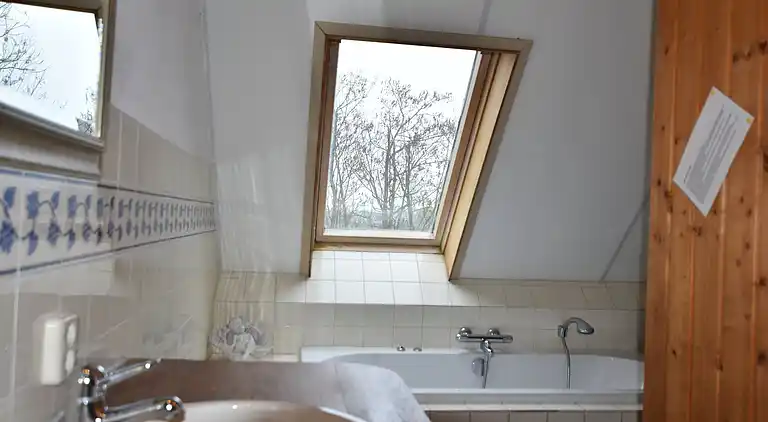 Farm house in Pingjum