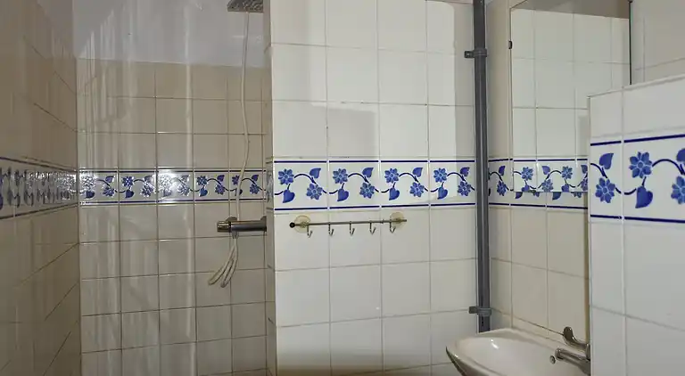 Farm house in Pingjum