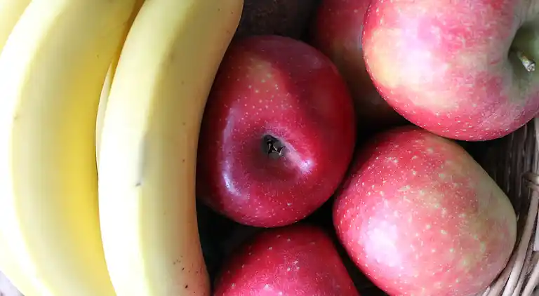 Bungalow in Alt Reddevitz