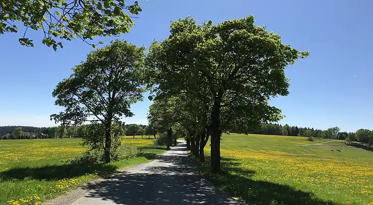 Sommerhus i Klingenthal