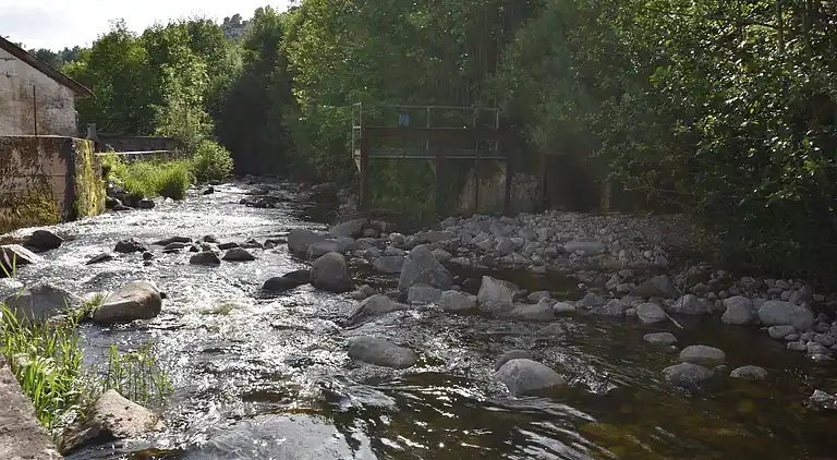 Ferielejlighed i La Bresse