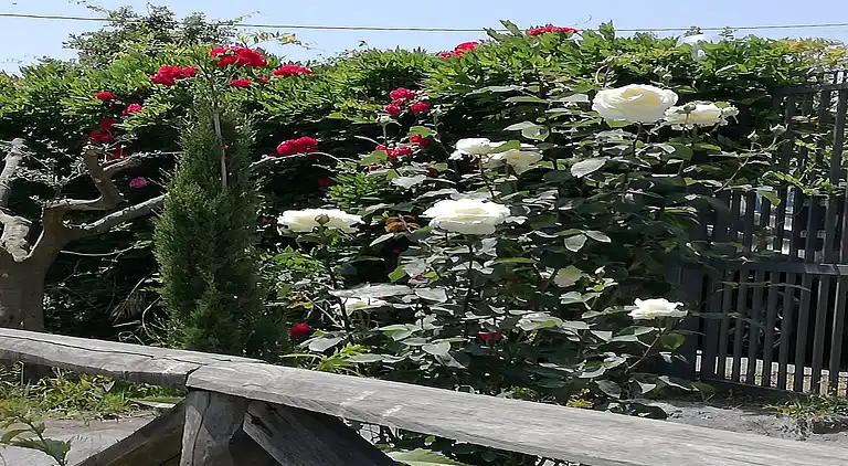 Holiday home in Mascali